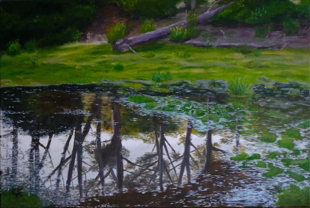 Reflejo en el Monte de Valizas